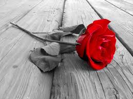 images (5)